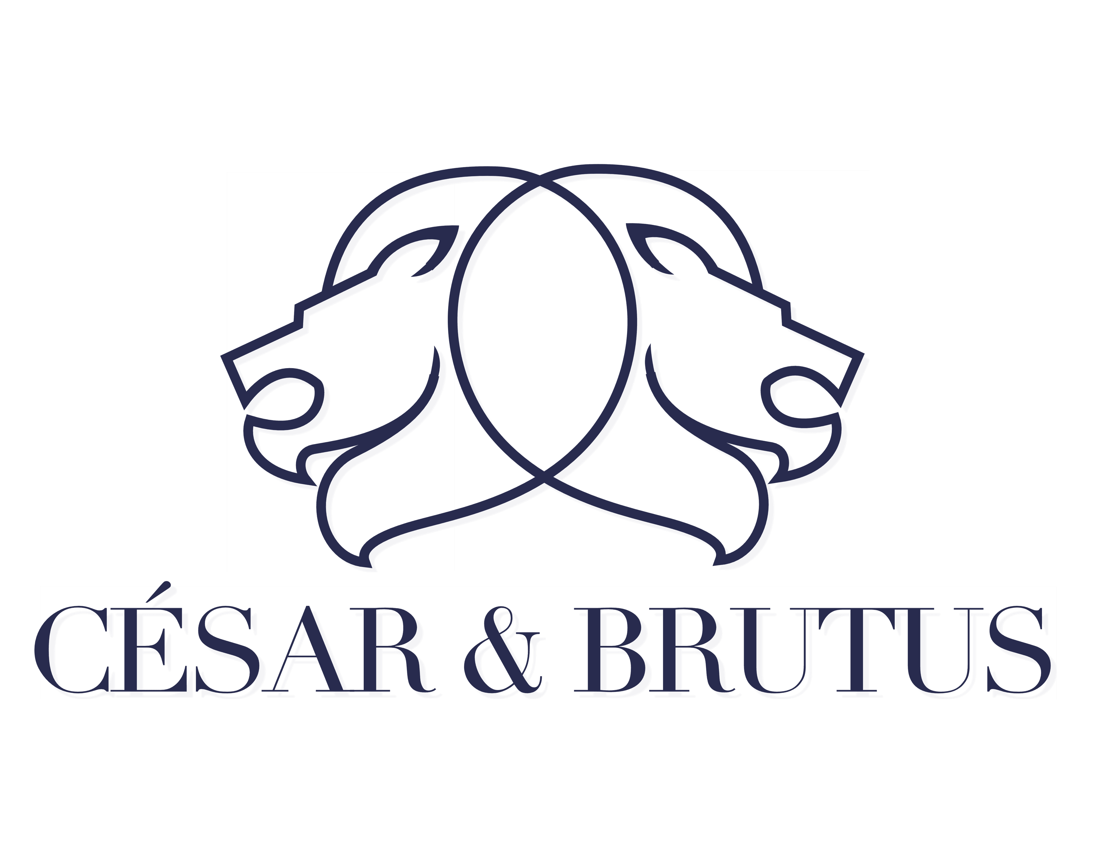 César et Brutus