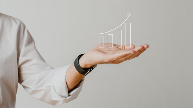 Management de Transition et plan de croissance